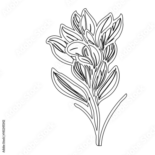 Wallpaper Mural Elegant floral outline design offering a serene aesthetic on a white backdrop Torontodigital.ca