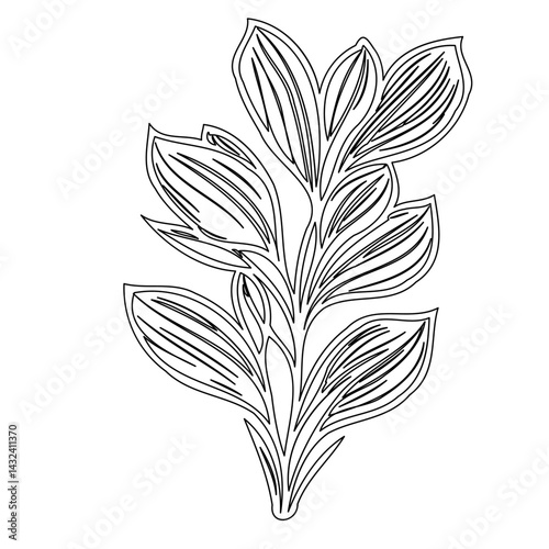 Elegant floral illustration featuring intricate line work on a white backdrop
