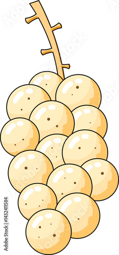 langsat fruit