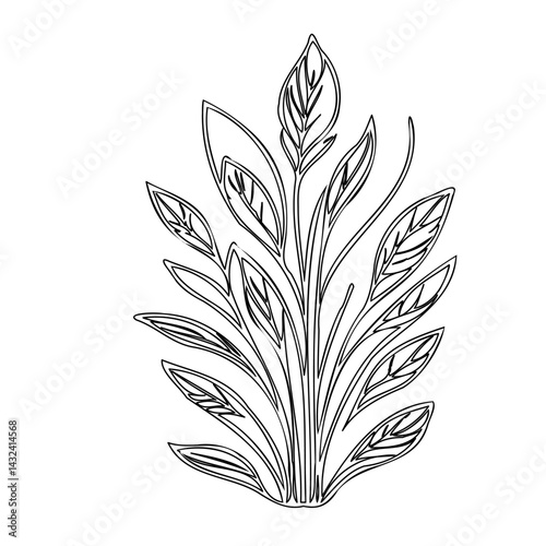 Elegant botanical outline drawing of leaves and stems on a clean white canvas