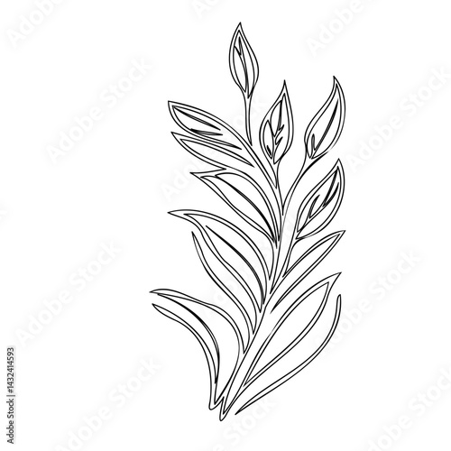 Ethereal plant drawing displaying elegant contours and precise detailing within monochrome artwork