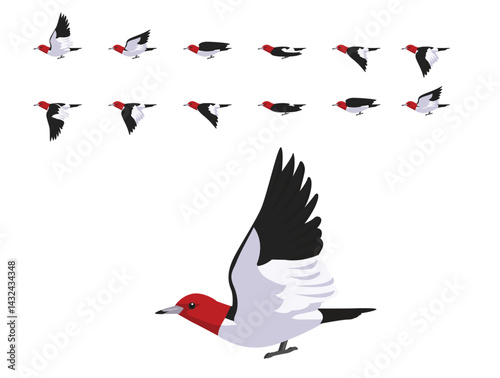 Red-Headed Woodpecker Flying Animation Sequence Cartoon Vector