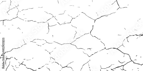 featuring a white background with a dry, cracked pattern.White cracked texture background,  The white background adds a rustic feel.