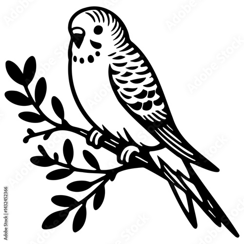 Budgie Pet Illustration.