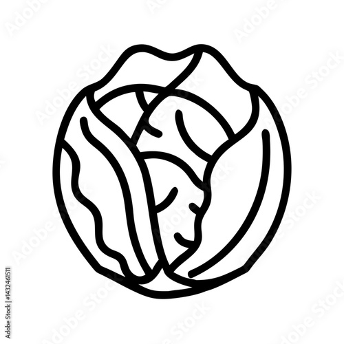Cabbage Head Cross Section Icon Design