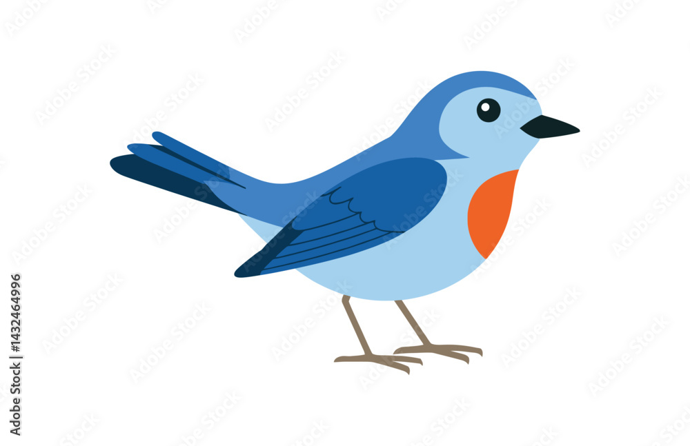 Obraz premium Warbler bird vector drawing