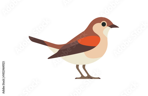 Warbler bird graphic design

