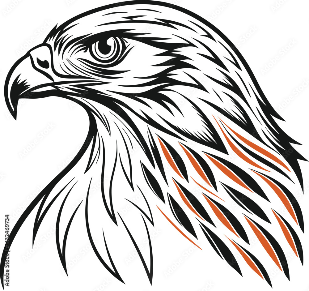 Obraz premium head of eagle