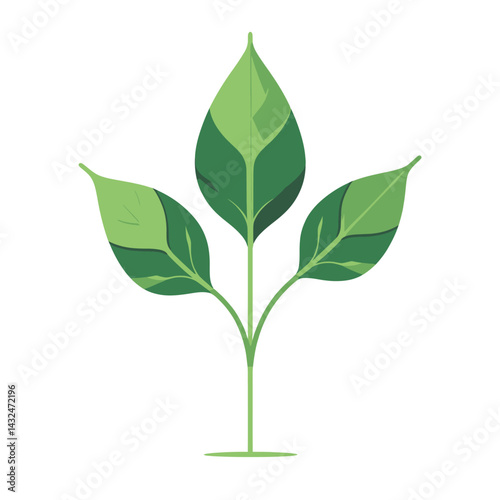 Young Plant Sprout vector tustratien