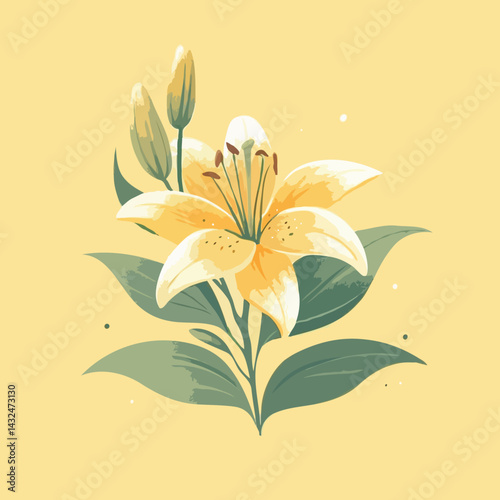 lily vector illustration hand drawn painted watercolor isolated