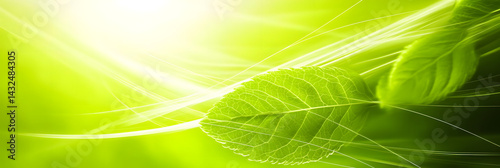 Green Leaf Abstract Nature Background