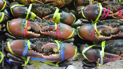 Fresh sea crabs in the seafood market. Thailand