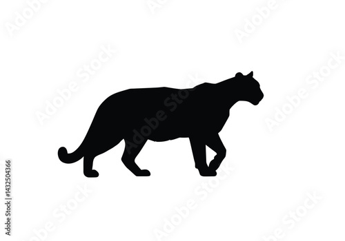 Mountain lion silhouette. This image shows a black silhouette of a mountain lion, also known as a cougar or puma, in a walking stance. Vector clipart illustration design.