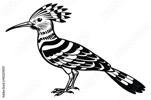 A Beak of Distinction The Eurasian Hoopoe
