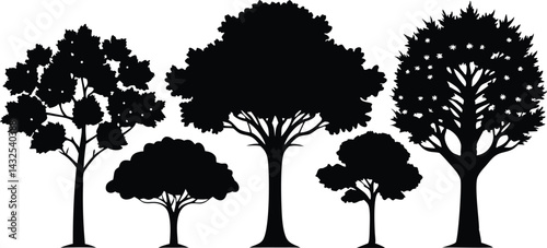Beautiful Tree Isolated Silhouette Vector Illustration Natural Forest Elements in Black Outline Art