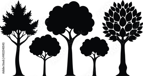 Beautiful Tree Isolated Silhouette Vector Illustration Natural Forest Elements in Black Outline Art