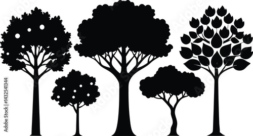 Beautiful Tree Isolated Silhouette Vector Illustration Natural Forest Elements in Black Outline Art
