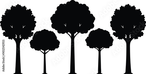 Beautiful Tree Isolated Silhouette Vector Illustration Natural Forest Elements in Black Outline Art