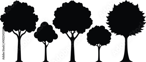 Beautiful Tree Isolated Silhouette Vector Illustration Natural Forest Elements in Black Outline Art