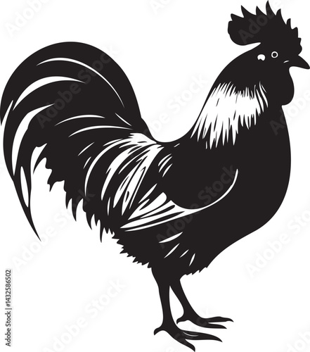 A big single rooster black and white