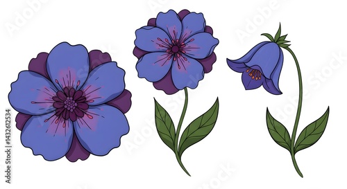 Obraz na płótnie Three illustrated purple flowers, each with unique shapes and details. Perfect for spring designs! w salonie