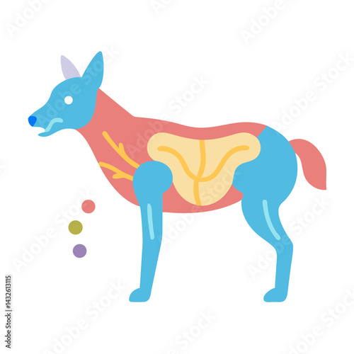 Colorful cartoon diagram of a dog's anatomy