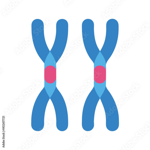 Pair of Chromosomes Illustration Isolated on Black Background