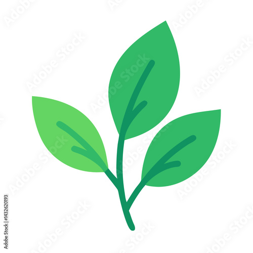 Three Green Leaves Isolated on Black Background