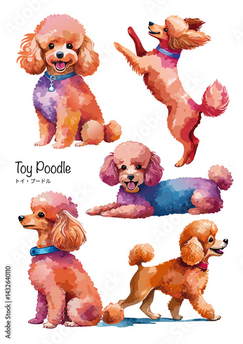 トイプードルの水彩画イラストセット