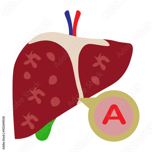 hepatitis a