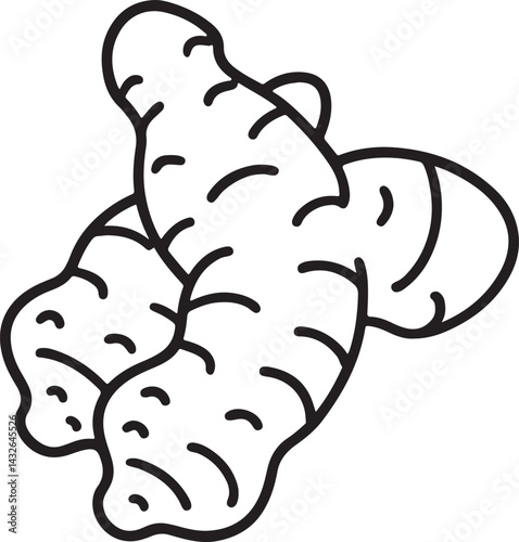 fresh ginger line art, black outline, vector and illustration, coloring book page line art drawing