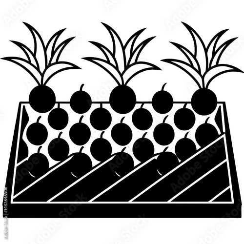 Vector silhouette of a garden plot with onions and radishes growing in rows 