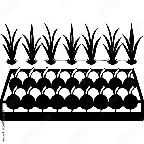 Vector silhouette of a garden plot with onions and radishes growing in rows 