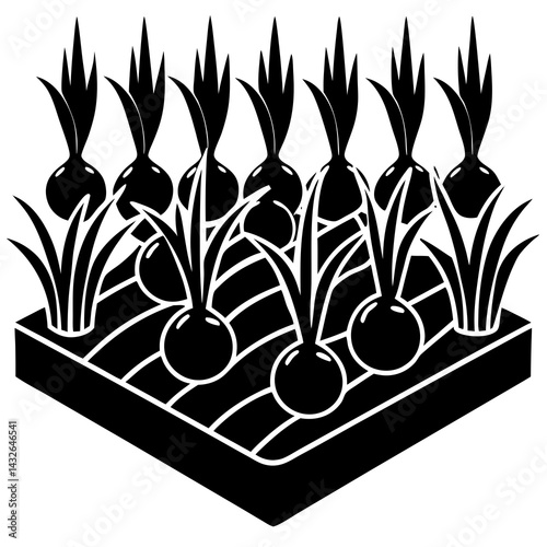 Vector silhouette of a garden plot with onions and radishes growing in rows 