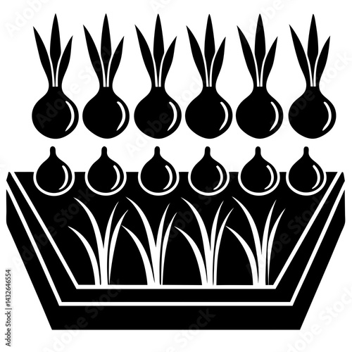 Vector silhouette of a garden plot with onions and radishes growing in rows 