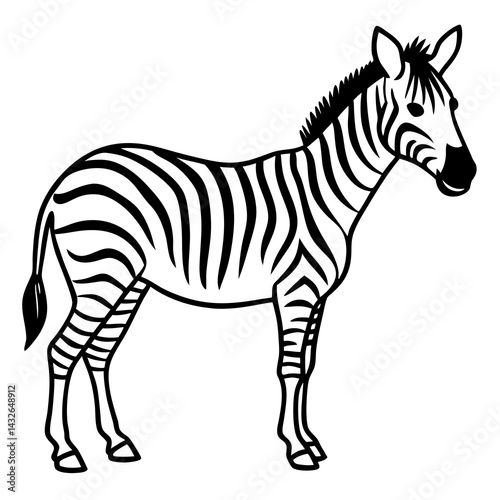 Detailed Zebra Line Drawing