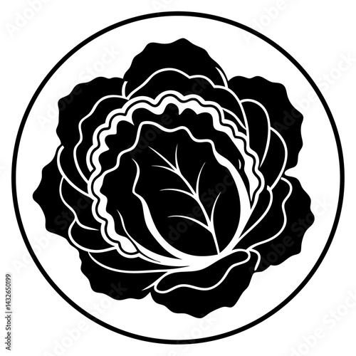 Vector silhouette of a patch of lettuce with large, round leaves