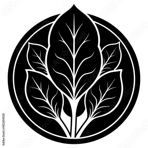 Vector silhouette of a patch of spinach with broad leaves 