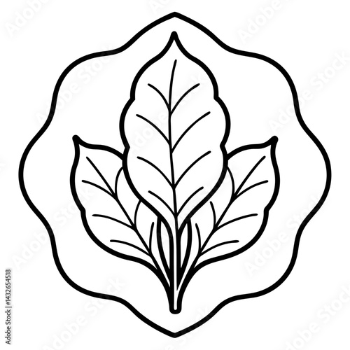 Vector silhouette of a patch of spinach with broad leaves 
