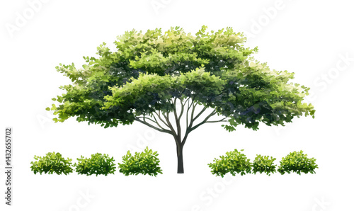 Minimalist Watercolor Green Tree Vector for Landscape and Architecture Design