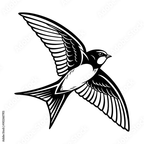 Swallow Bird silhouette vector Illustration