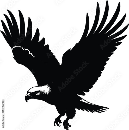 an Eagle flying silhouette