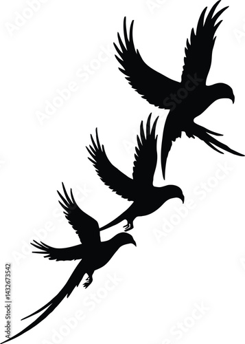 Three Parriot Flying silhouette