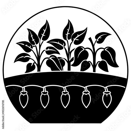 Vector silhouette of a vegetable patch with visible green peppers