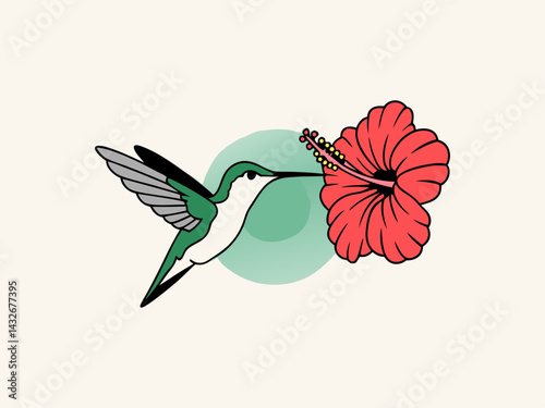 
Hummingbird drinking nectar from a hibiscus flower