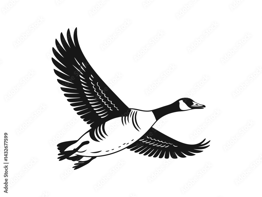 Obraz premium Flying Canada Goose Vector Silhouette Illustration