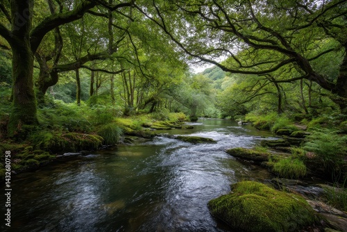 Serene River Flowing Through Lush Green Forest