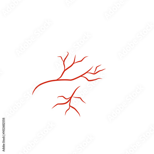 illustration of human blood vessels