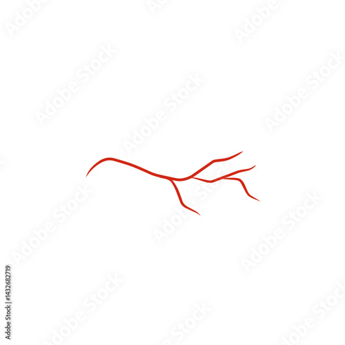 illustration of human blood vessels