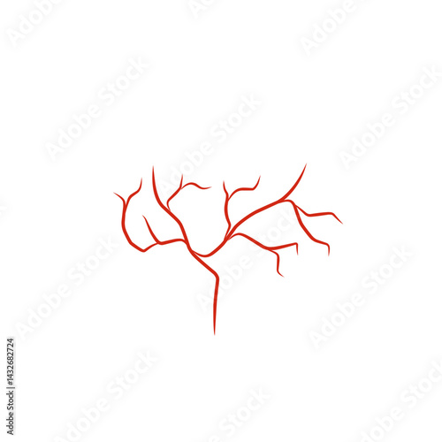 illustration of human blood vessels